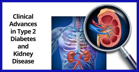 Type 2 Diabetes and Kidney Disease