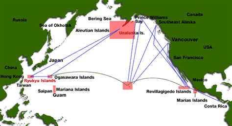 The Range and Migration of the Humpbacks | Kerama Islands