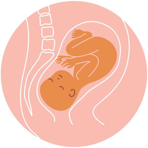 Baby position in womb: What they are and how to tell