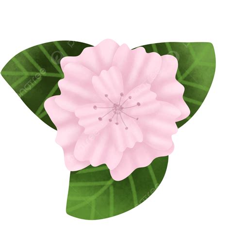Pink Leaves Clipart Hd PNG, Pink Flower And Leaves, Pink Flower, Green ...