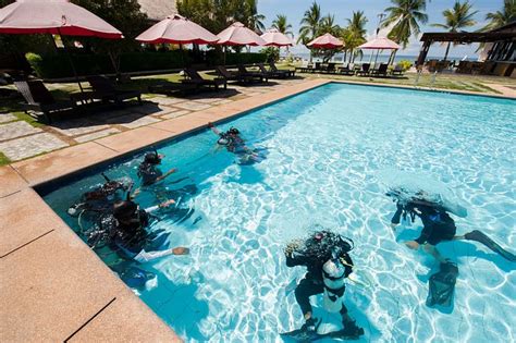 Bohol Beach Club Pool: Pictures & Reviews - Tripadvisor