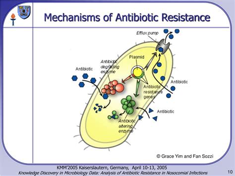 Mechanisms Of Antibiotic Resistance