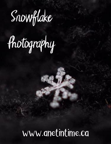 Snowflake Photography - A Net in Time