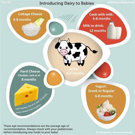 Day 30 – Dairy Infographic, When to introduce milk and dairy products ...