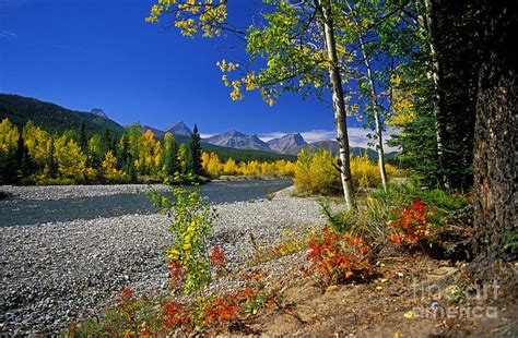 Kananaskis Fall Photograph by Ken Meisner - Fine Art America