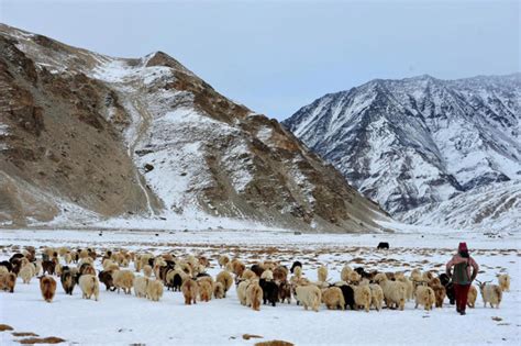 Images - Snow Filled Landscapes during Winter in Ladakh - Darter ...