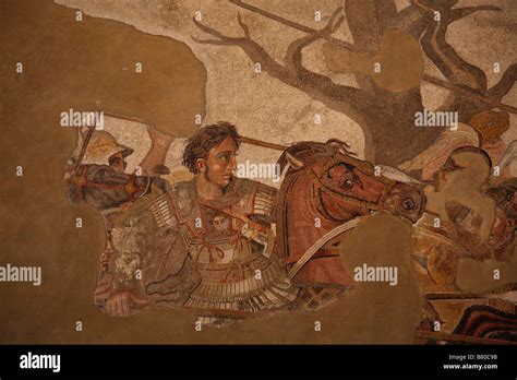 Alexander the Great. Detail of the Alexander Mosaic from Pompeii in the ...