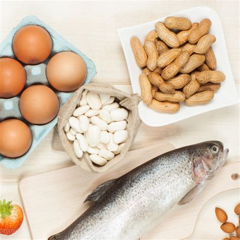 Food Allergies Can Result When A Protein In The Diet - Diet Poin