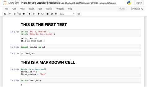 jupyter notebook example nice commenting markdown - Data36