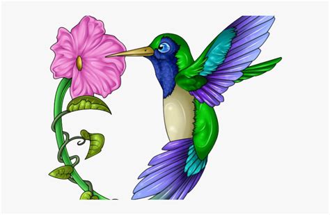 Colorful Color Hummingbird Drawing, HD Png Download , Transparent Png Image - PNGitem