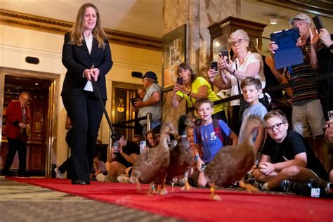 Why does The Peabody have ducks? The story behind these quacky ...