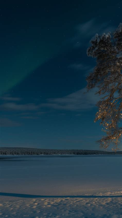 Lapland Wallpaper (Snow, Northern lights) #16771