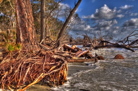 Lincoln's Domain: Hunting Island State Park in HDR