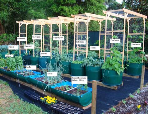 Pin by Bonnie Irving on Vertical Gardening | Barrel garden planters, Garden beds, Raised garden