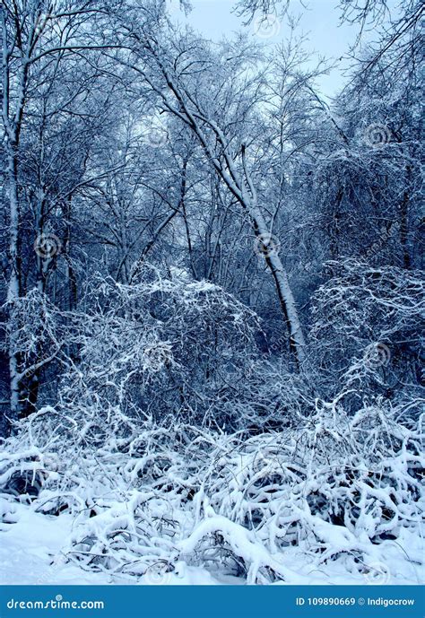 A New England Snow Storm stock image. Image of nature - 109890669