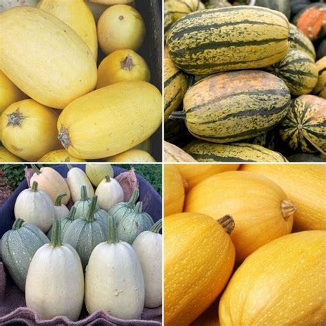 How to Cut, Cook and Use Spaghetti Squash - GettyStewart.com