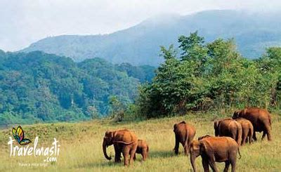 Thekkady - Kerala Image (20703766) - Fanpop