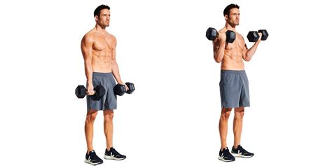 Bicep Exercises For Men