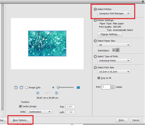 How-To: Adobe Photoshop Elements Colour & Print Guide (SPM - Windows) – Sawgrass Care