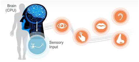 The Role of Sensor Fusion in the Internet of Things | Mouser