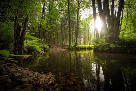 Nature in Lower Saxony