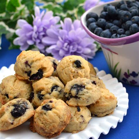 Blueberry Bites Recipe | Share the Recipe