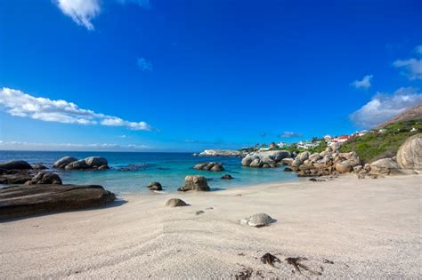 Boulders Beach, South Africa - Penguins, Entrance Fee, Accommodation