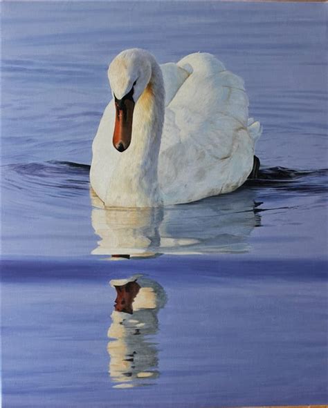 Clive Meredith Wildlife Art: Mute swan painting update