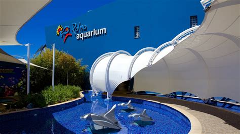 Vacation Homes near Palma Aquarium, Can Pastilla: House Rentals & More ...