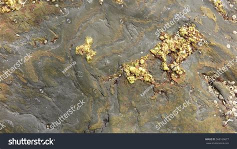 Sedimentary Rock Pattern Texture Background Stock Photo 568169677 ...