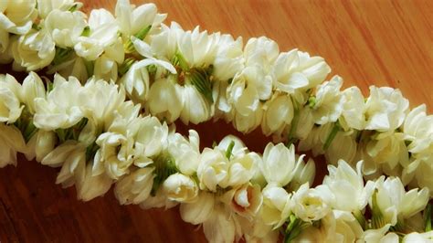 Jasmine Garland, How to make Jasmine Garland