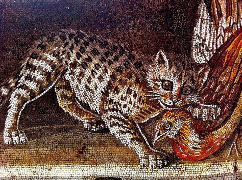 Cat Mosaic from Pompeii | Roman History