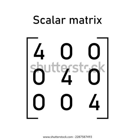 Scalar Matrix Types Matrices Mathematics Vector Stock Vector (Royalty ...