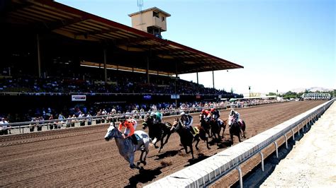 Fair Grounds Race Course Horse - Horse Choices