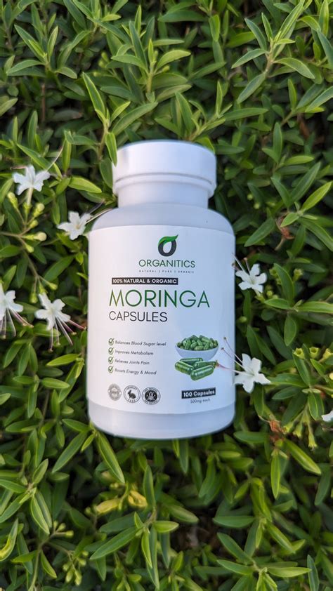 Moringa Powder Capsules | 100 Capsules – Organitics