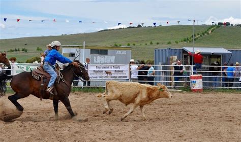 What Is Calf Roping Or Tiedown Roping? - Horses & Foals