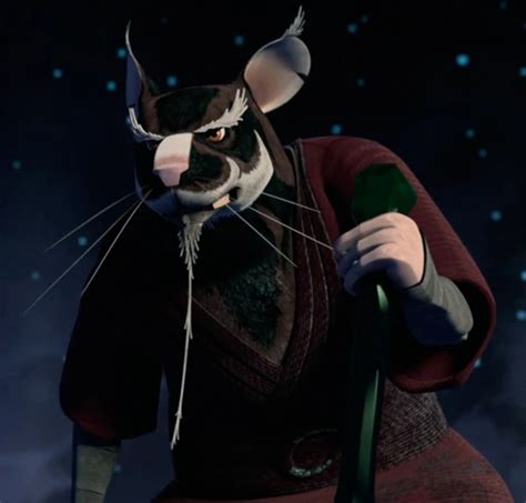 Splinter (TMNT 2012) | Heroes and Villains Wiki | Fandom