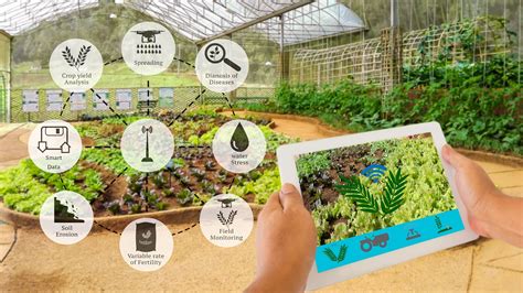 Smart Agriculture Sensors: Helping Small Farmers and Positively Impacting