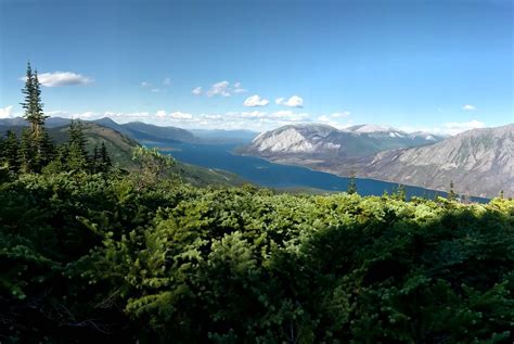 Tagish Lake, Yukon, Canada 2019 | Mark Whitmee | Flickr