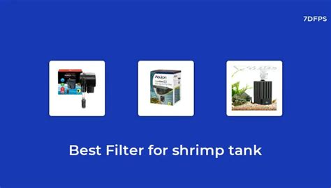 The Best-Selling Filter For Shrimp Tank That Everyone is Talking About