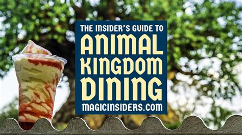 Animal Kingdom Dining: The Ultimate Guide