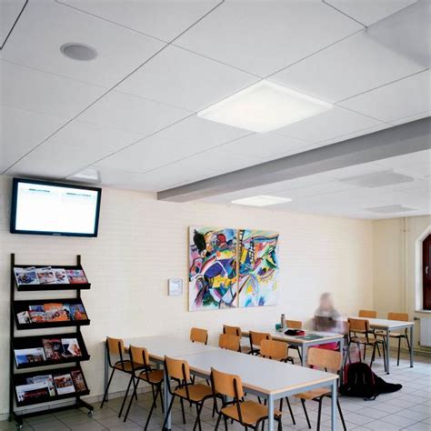 Ceiling Tiles for Schools | Our Expert Guide | Ceiling Tiles UK