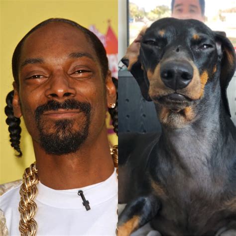 Snoop Dogg Dog