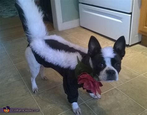 Skunk Dog Costume | DIY Costumes Under $35