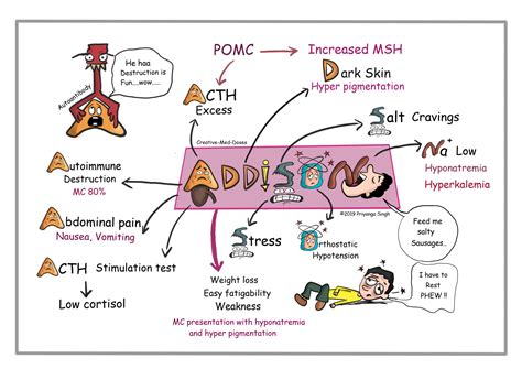 Home - Creative Med Doses