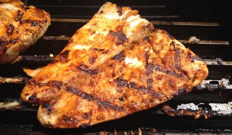 Honey Lime Grilled Mahi Mahi Recipe | Smoked food recipes, Grilled fish ...