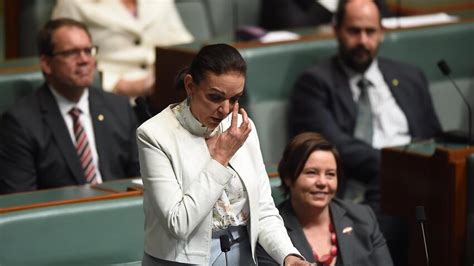 Maiden speeches bring new voices to parliament | SBS News