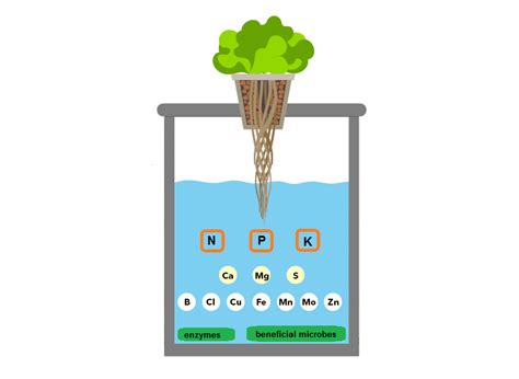 Hydroponic Nutrient Solution Recipe For Lettuce | Deporecipe.co