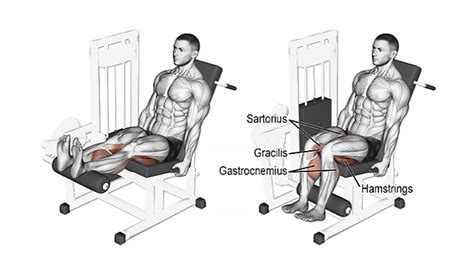 Leg Curls: Seated, Lying, or Standing?