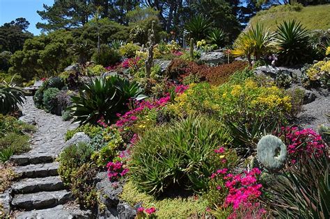 Xeriscaping: The Answer to Your Dry Garden Woes? | Mr Plant Geek